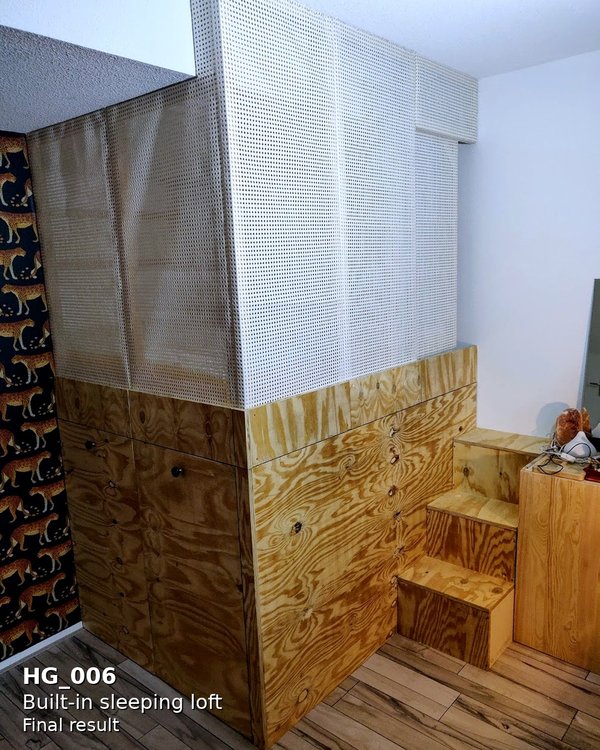 Built-in sleeping loft with storage